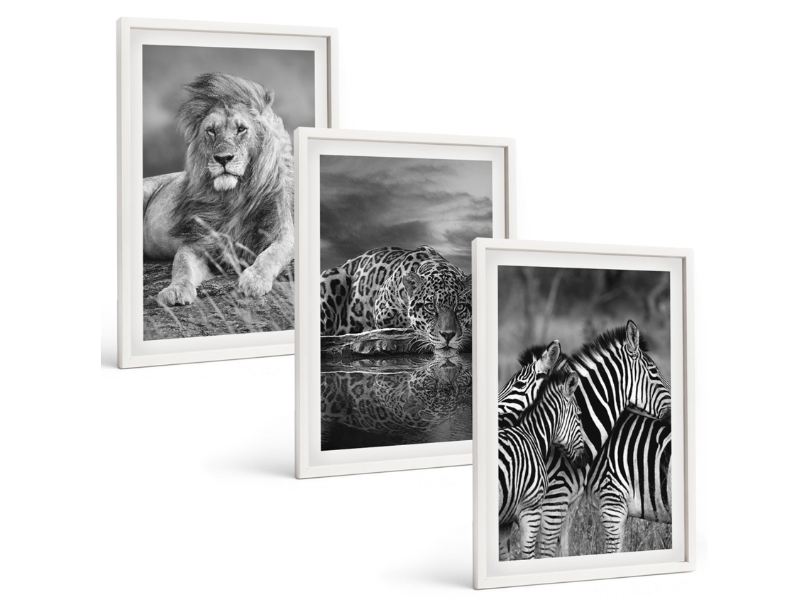 Conjunto De Pinturas Animais Selvagens, Savana Moldura Branca Fotos Para O Escritório Espelharte (3 Piezas De 40x60 Cm)