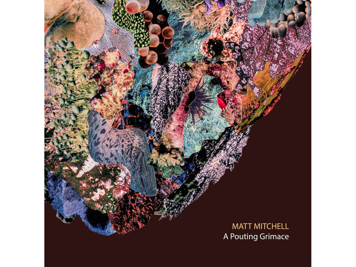 CD Matt Mitchell  - A Pouting Grimace