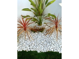 Jardin202 - Piedras De Canto Rodado Blanco 25kg – Decoración Jardín Exterior Y Macetas | Tamaños 20/25, 20/40 Y 40/60 Mm 20/40 | 20/40 ()