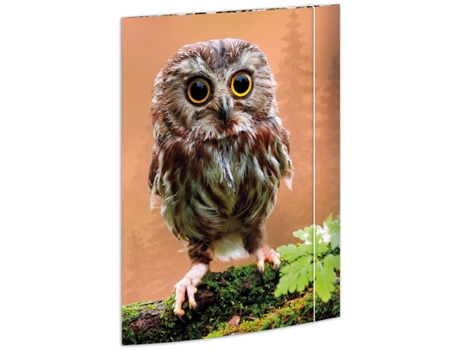 Pasta de Desenho RNK VERLAG Coruja Papelão Din A3