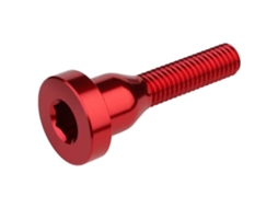 Burgtec Top Cap Bolt