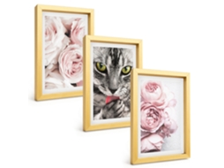 Composição De Quadros Gato Em Flores Rosa Espelharte (3 Peças 20x30 Cm)