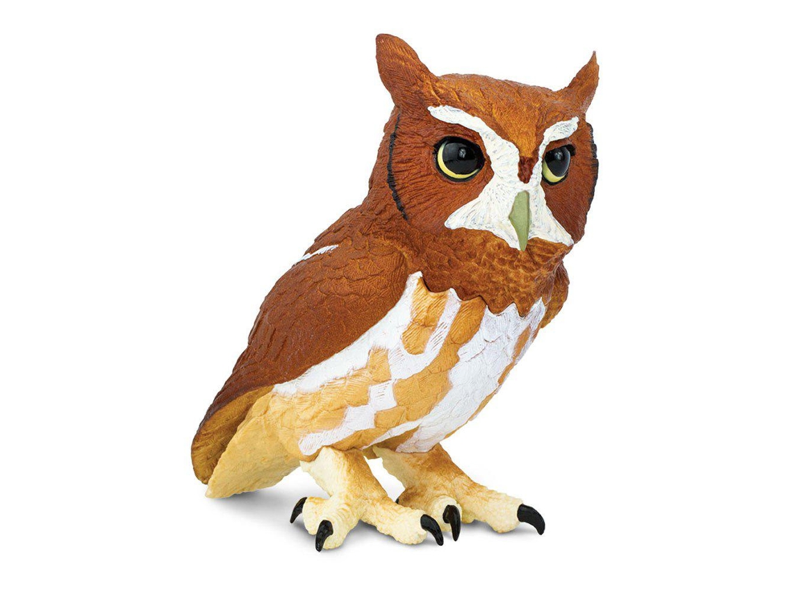 SAFARI Eastern Screech Owl