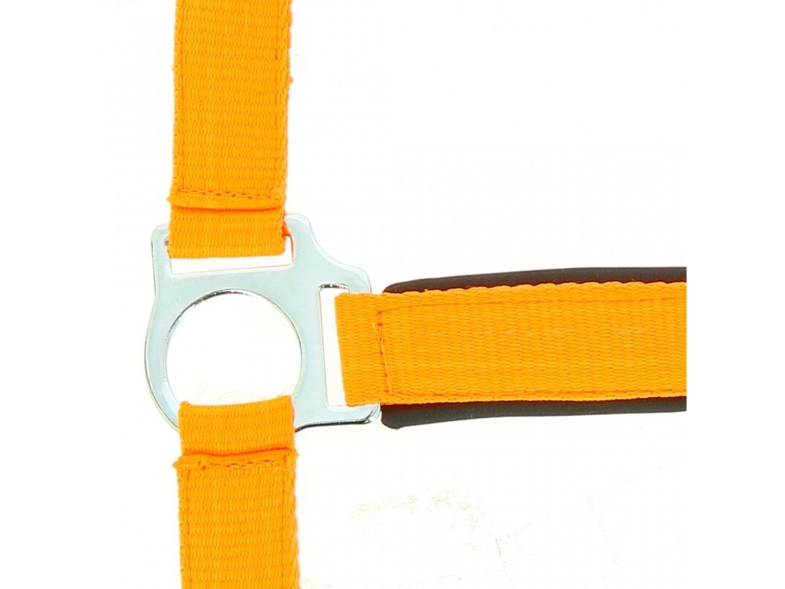 Cabresto para cavalos Norton Fluo