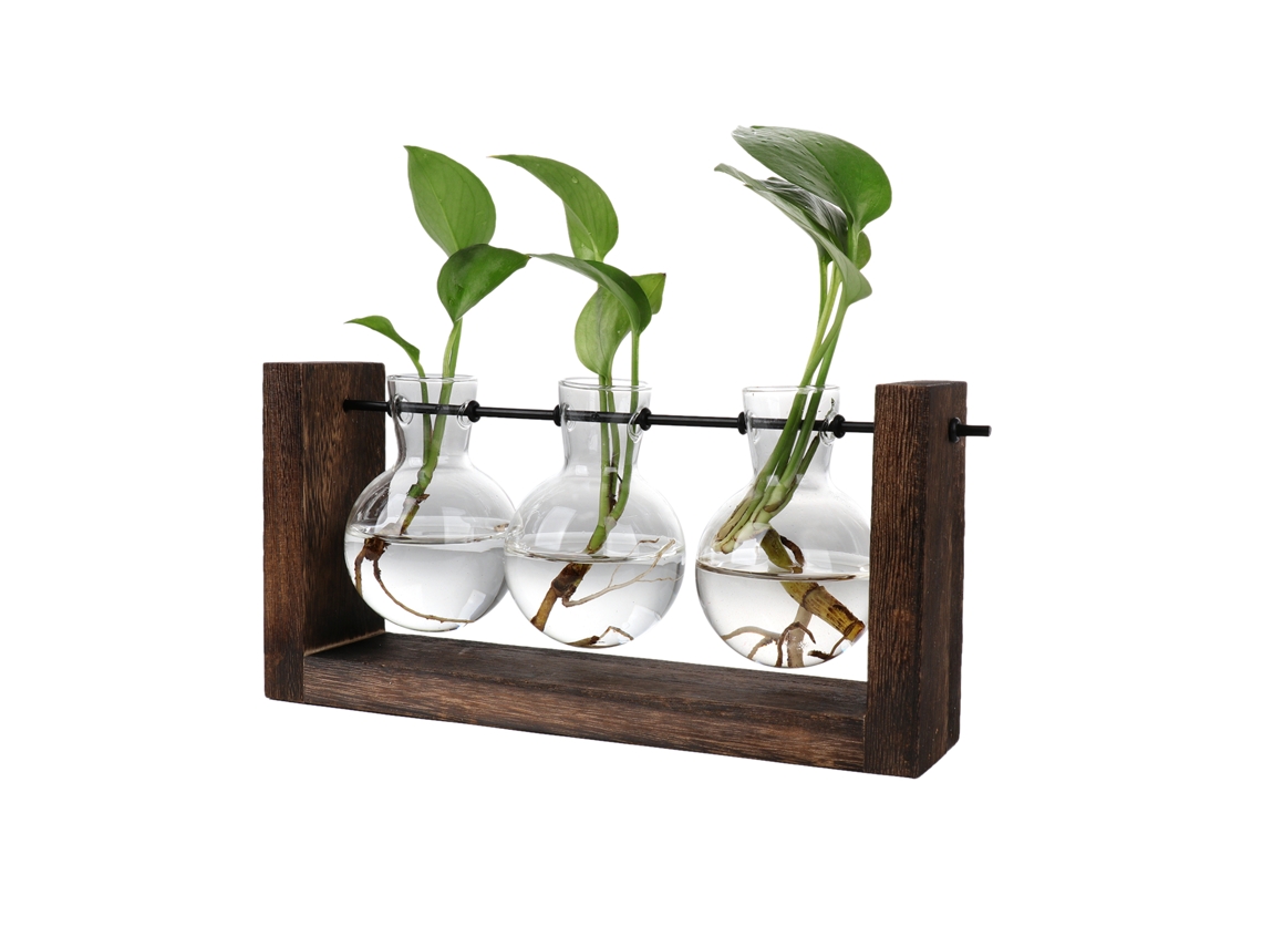 Vaso Hidropônico Decorativo com Apoio de Madeira LAXISCREED