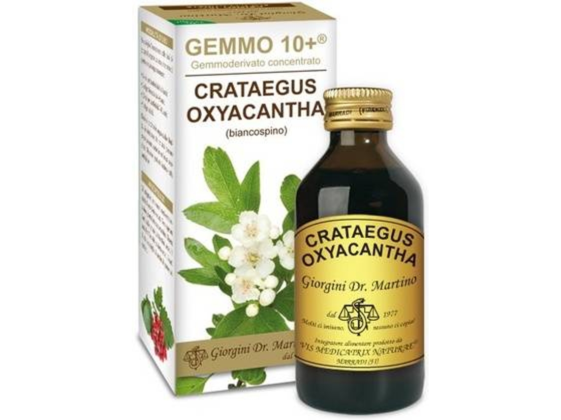 Chá DR. GIORGINI O Ge + (100 ml)
