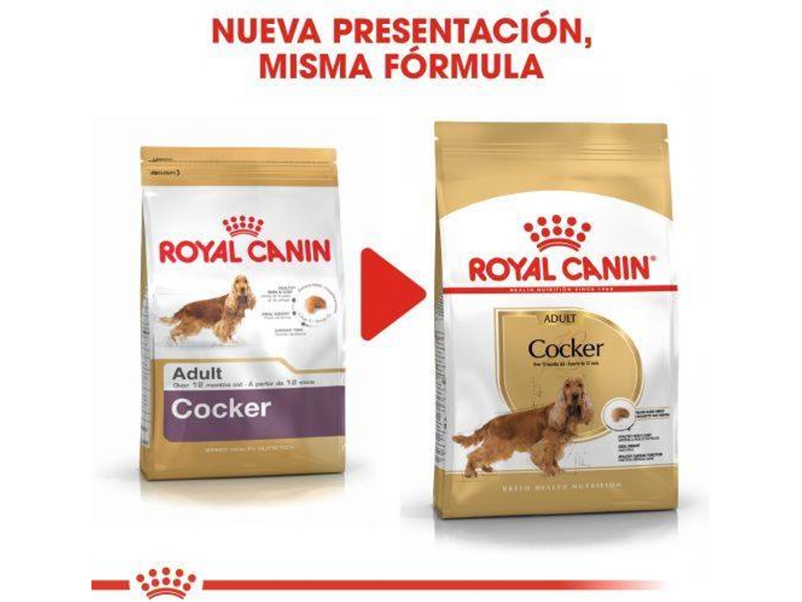 Royal canin on sale cocker spaniel 3kg
