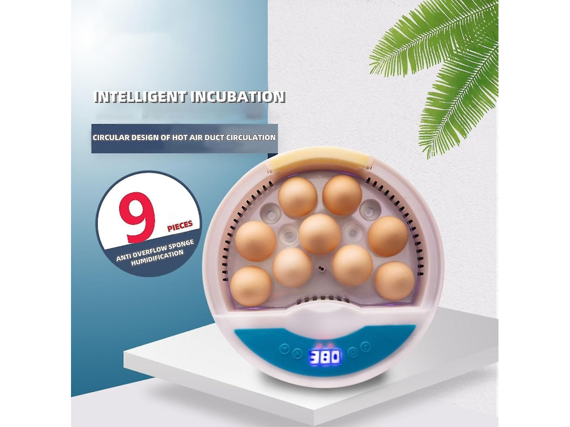 Incubadora De Ovos Multifuncional Incubadora Automática Gashapon Com Controle Digital De Temperatura E Umidade X45 Slowmoose (9 Ovos)