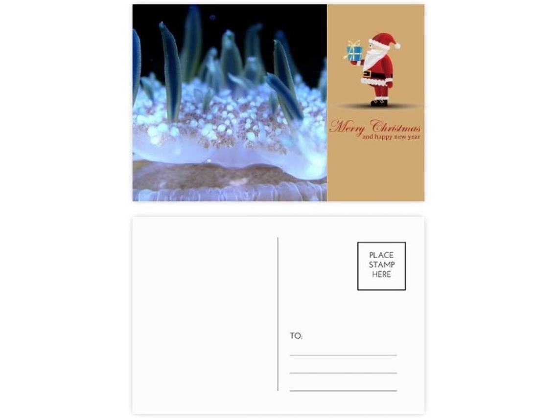Conjunto de 20 Cartões postais do Papai Noel em Azul Oceano 14,6 X 9,8 Cm