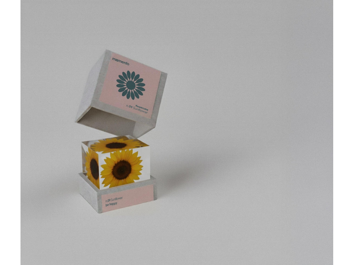 Pisa Papéis MOMENTO Flowercube Girassol