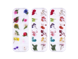 Caixa de Flores Secas em 12 Cores para Decoração de Unhas e Artesanato com Resina RNEMITERY
