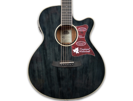 Tanglewood Tw4 Bs