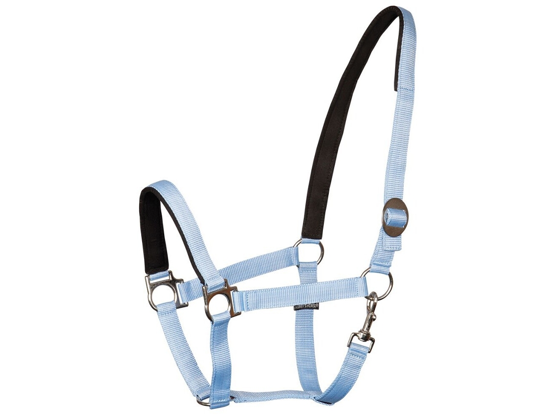 Cabeção HARRY'S HORSE Almofadado