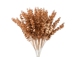 Laxiscreed Vaso De Eucalipto Dourado Pack Com 6 Peças Para Decoração Elegante