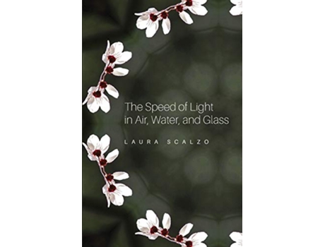 Livro The Speed of Light in Air Water and Glass de Laura Scalzo (Inglês)