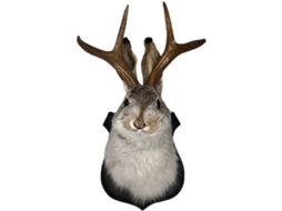 Lenda Última Versão Antlers