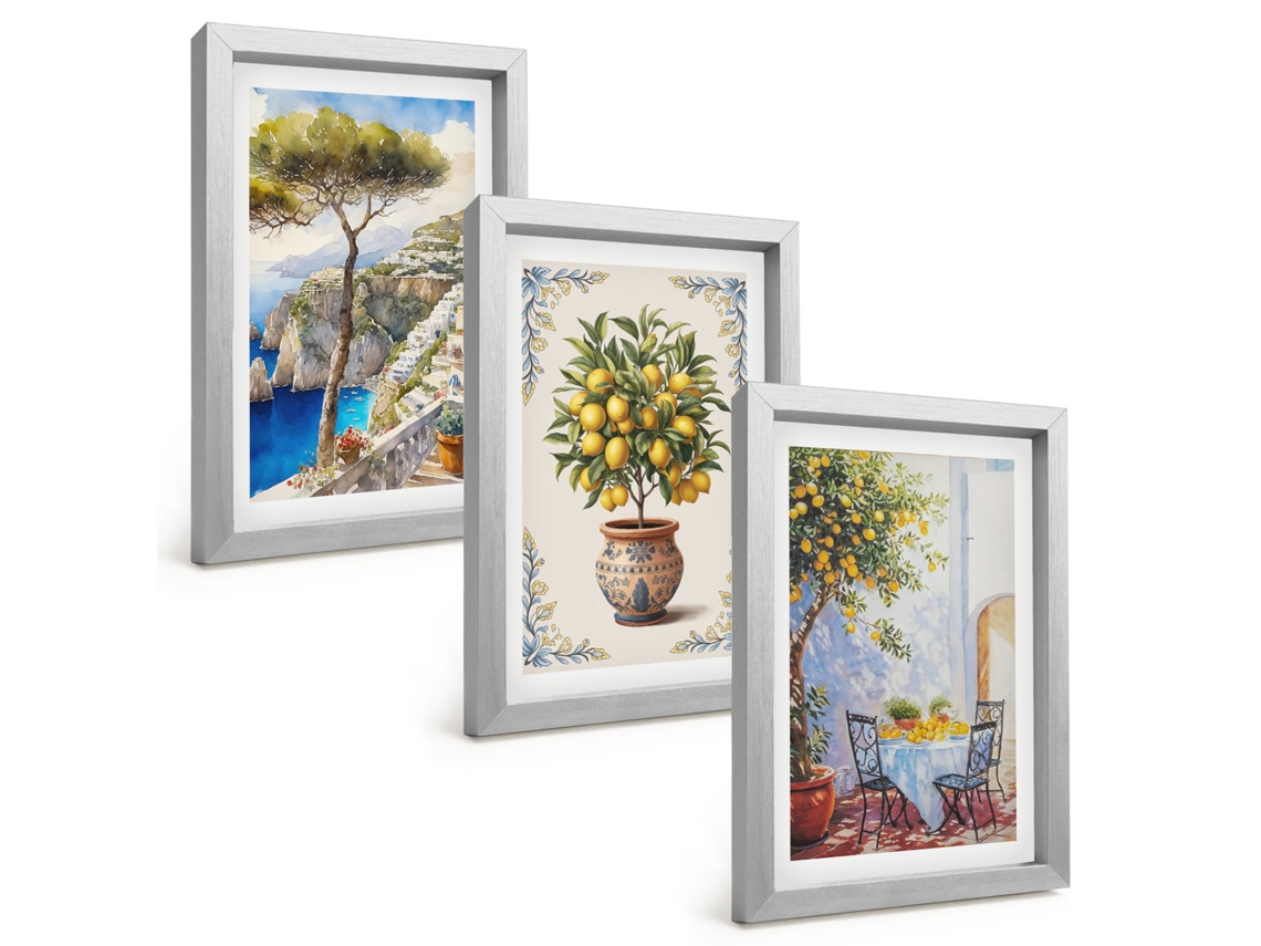 Pinturas Murais Modernaslimoeiro-do-mar À Mesa Moldura Prateada Fotos Para O Corredor Espelharte (3 Peças 20x30 Cm)