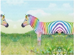 Colcha de Flanela com Estampa Zebra Colorida Manta Macia e Quente para Sofá Quarto 152 4 X 127 Cm, Macio, Qu
