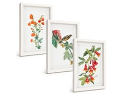 Conjunto De Quadros Com Moldura Flores E Pássaros Pintados Moldura Branca Fotos Para O Escritório Espelharte (3 Peças 20x30 Cm)