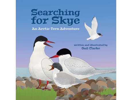 Livro Searching For Skye De Gail Clarke (inglês)