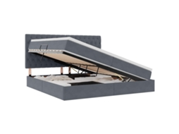 Maison Exclusive - Cama Com Arrumação E Led Cinza Escuro 200 X 200 Cm Veludo