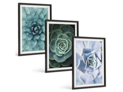 Conjunto De Pinturas Plantas Suculentas Em Verde Turquesa Espelharte (3 Peças 40x60 Cm)