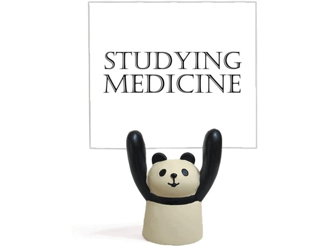 Bloco de Notas com Frases Curtas para Estudar Medicina 4 X 5 Cm Resistente Durável