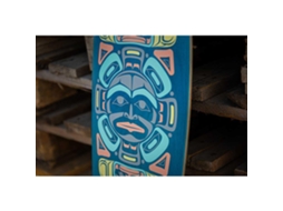 Playlife Skateboard Seneca 9´´