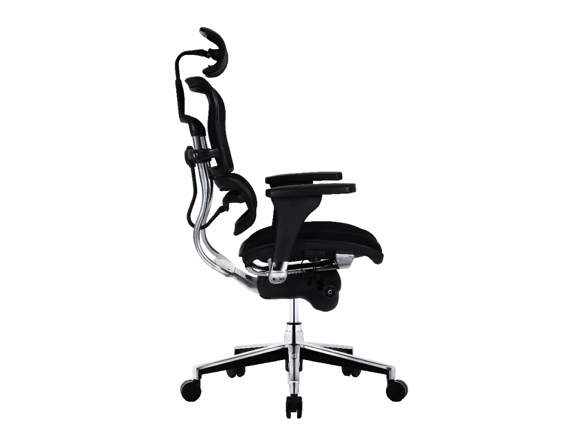 Ergohuman classic 2025