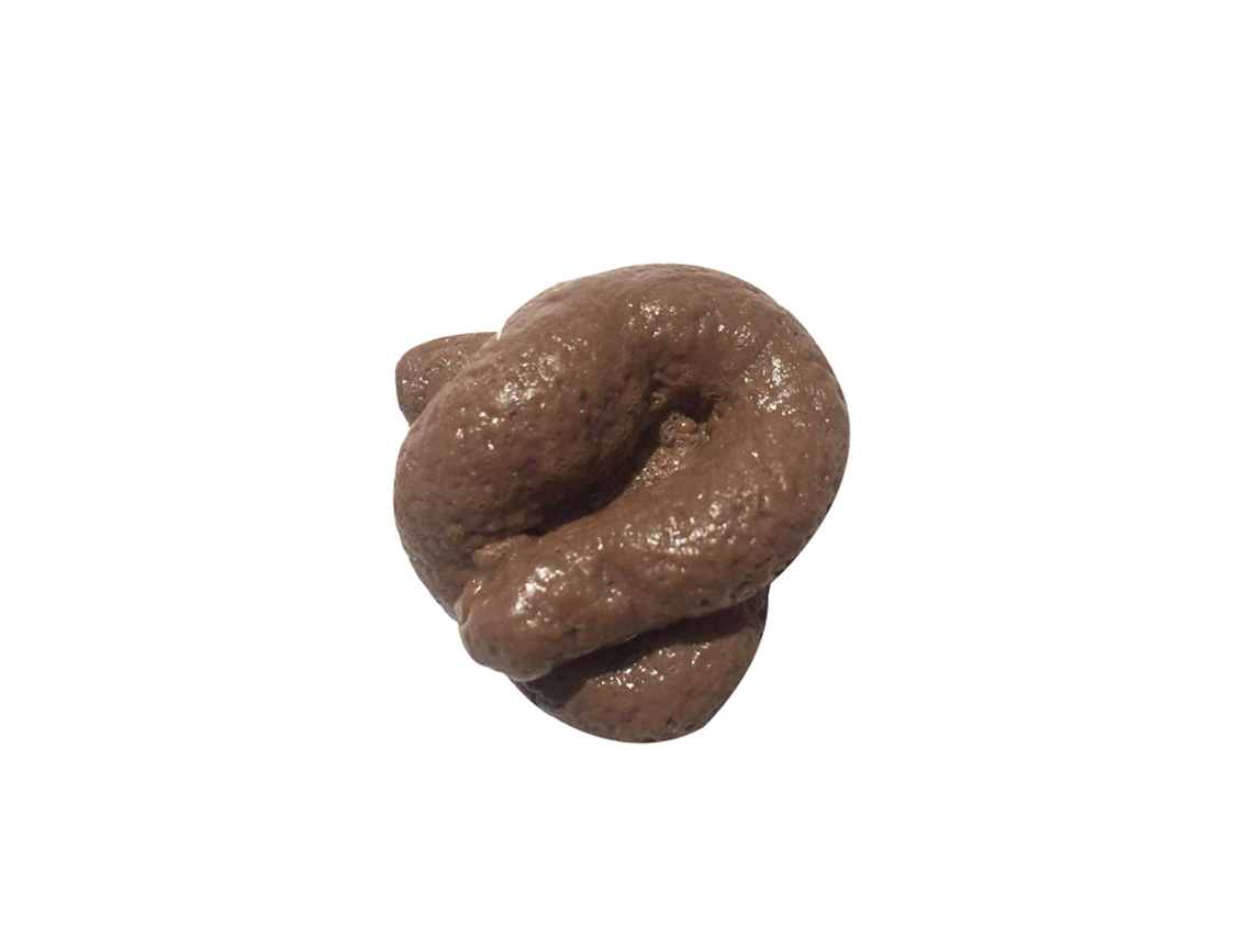 Mali cocô Artificial Realista Brinquedo de Travessura Brincadeira Tpr Presente Enganar Amigos