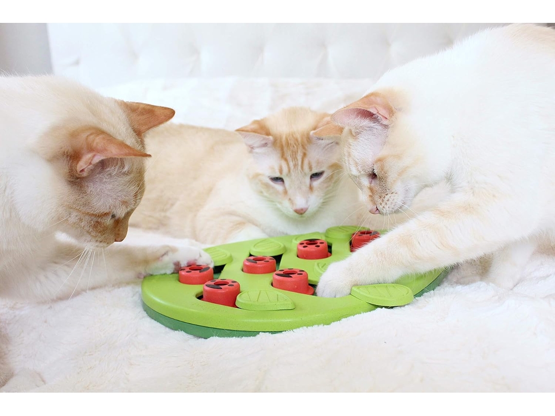 Tigela para Ração de Animais de Estimação, para Alimentação Lenta, Fofa de Folha Verde para Alimentação Lenta AQUAFORGE