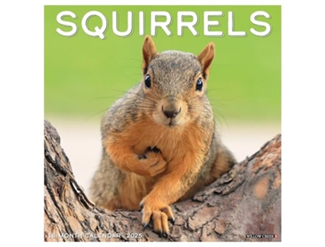 Livro Squirrels 2025 12 X 12 Wall Calendar de Willow Creek Press (Inglês)
