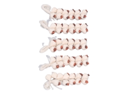 Primerox 5pcs Alho Artificial Mini Brinquedo Decoração Diy para Casa de Bonecas 1:12
