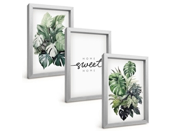 Um Conjunto De Imagens Decorativas Em Uma Molduraplantas Com As Palavras "doce Lar" Moldura Prateada Pinturas De Quarto Espelharte (3 Peças 20x30 Cm)