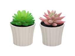 2Pcs Combinação de Suculentas Mini em Vaso Pequenos Ornamentos Criativos RNEMITERY