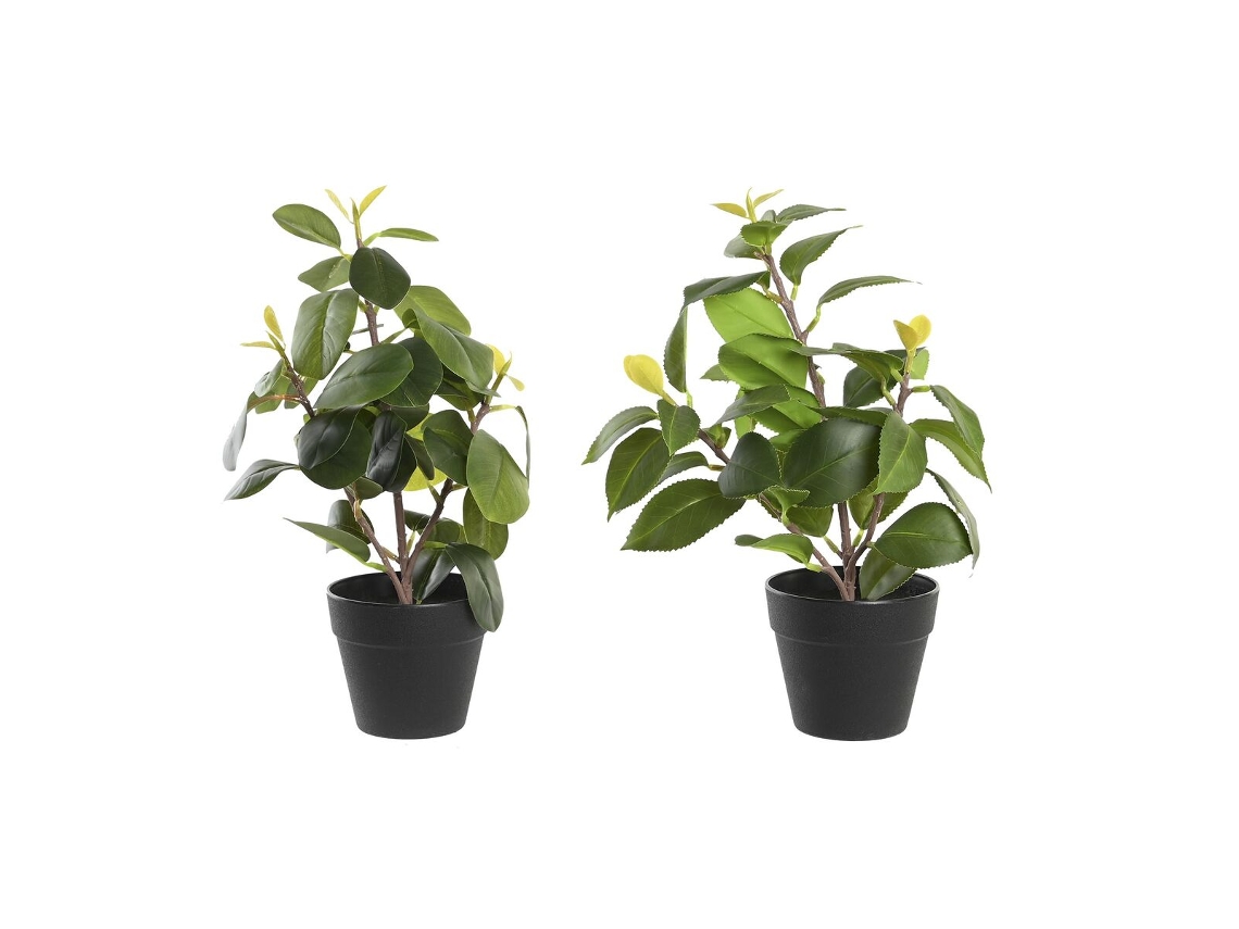 Planta Decorativa DKD HOME DECOR (Multicor)