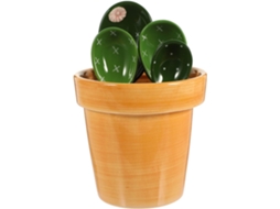 Conjunto De 5 Colheres Medidoras De Cerâmica Com Design De Cacto, 290ml, Para Café E Grãos.