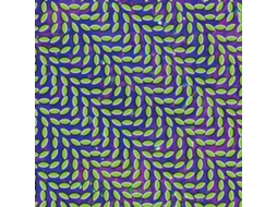 CD Animal Collective - Merriweather Post Pavilion