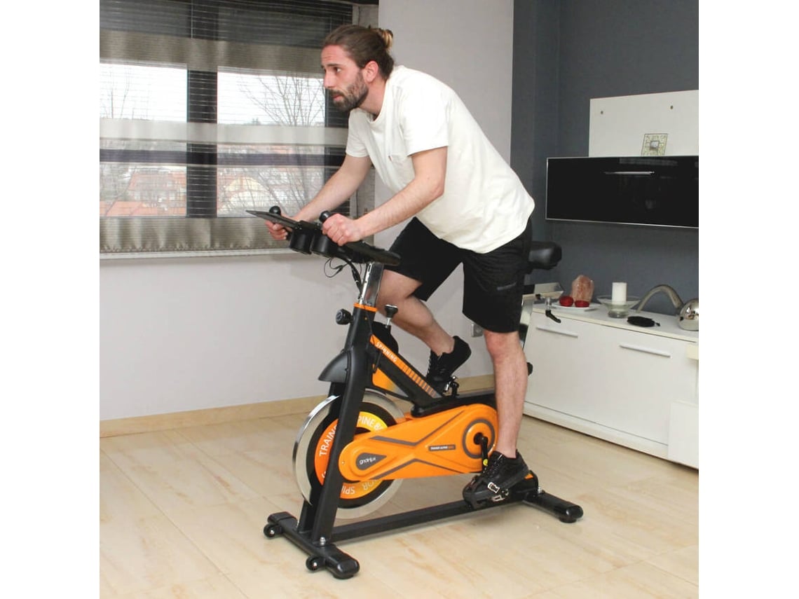 Bicicleta de Spinning GRIDINLUX Alpine 8500 119 5 x 64 x 117 cm
