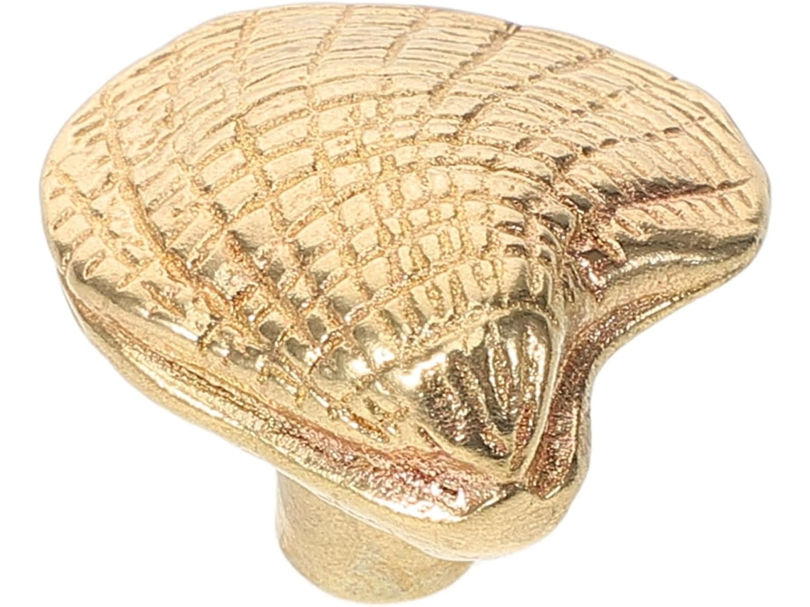Puxador Decorativo Em Latão Formato De Concha, Dourado, Para Armários
