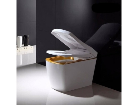 Sanita Japonesa S310 Saída Do Pavimento