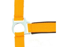 Cabresto para cavalos Norton Fluo