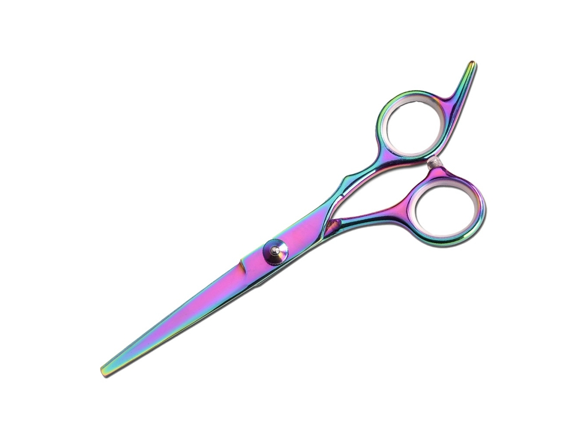 Tesoura De Cabelo Elysve Em Aço Inoxidável, 6 Polegadas, Corte Preciso, Para Salão E Uso Doméstico