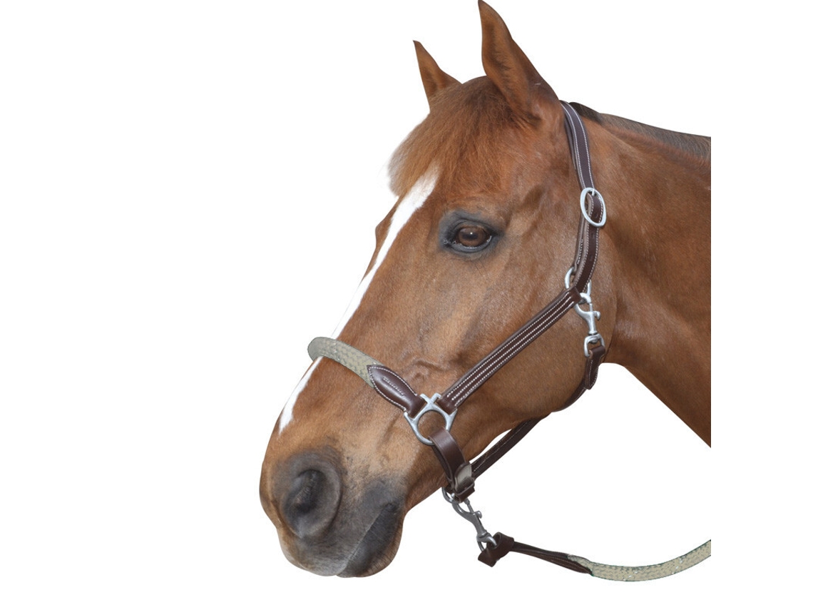 Cabresto de corda com fivelas brancas para cavalos Canter