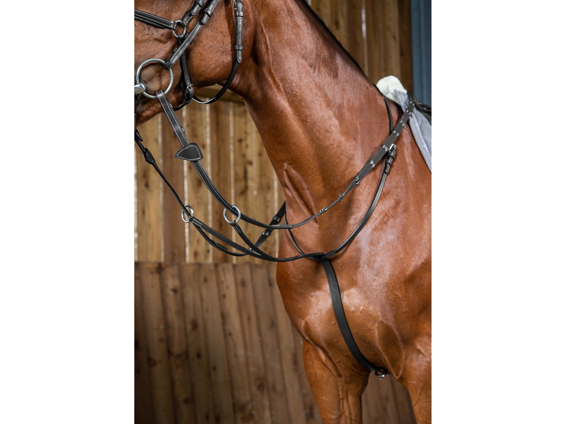 Martingale com Anéis DYON
