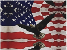 Colcha de Flanela com Estampa da Bandeira Americana e Águia Macia Aconchegante para Sofá Quarto 203 2 X 152 4