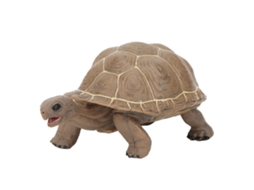 Walshlxq modelo de Simulação de Animal Tartaruga Elefante Brinquedo Sólido de Educação Infantil para Crianças Presente Infantil