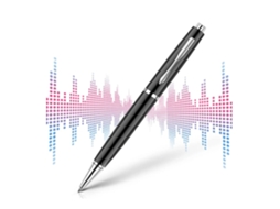 Gravador De Voz Digital De 32 Gb, Gravador Ativado Por Voz Com Reprodução, Para Reuniões De Palestras, Som De Ditafone Usb Yizhood (preto)