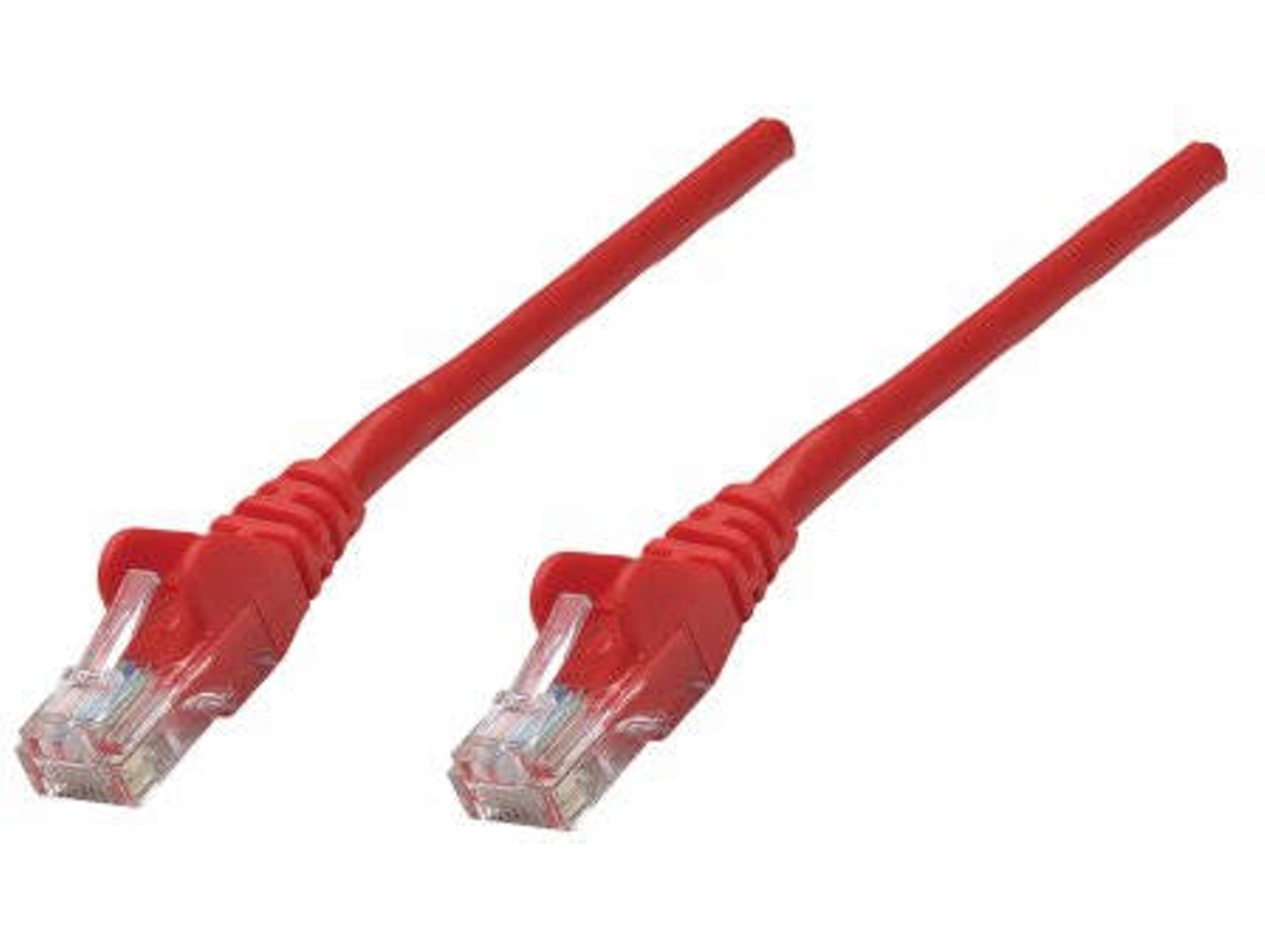 Cabo INTELLINET (RJ45 - 0.25 m - Vermelho)
