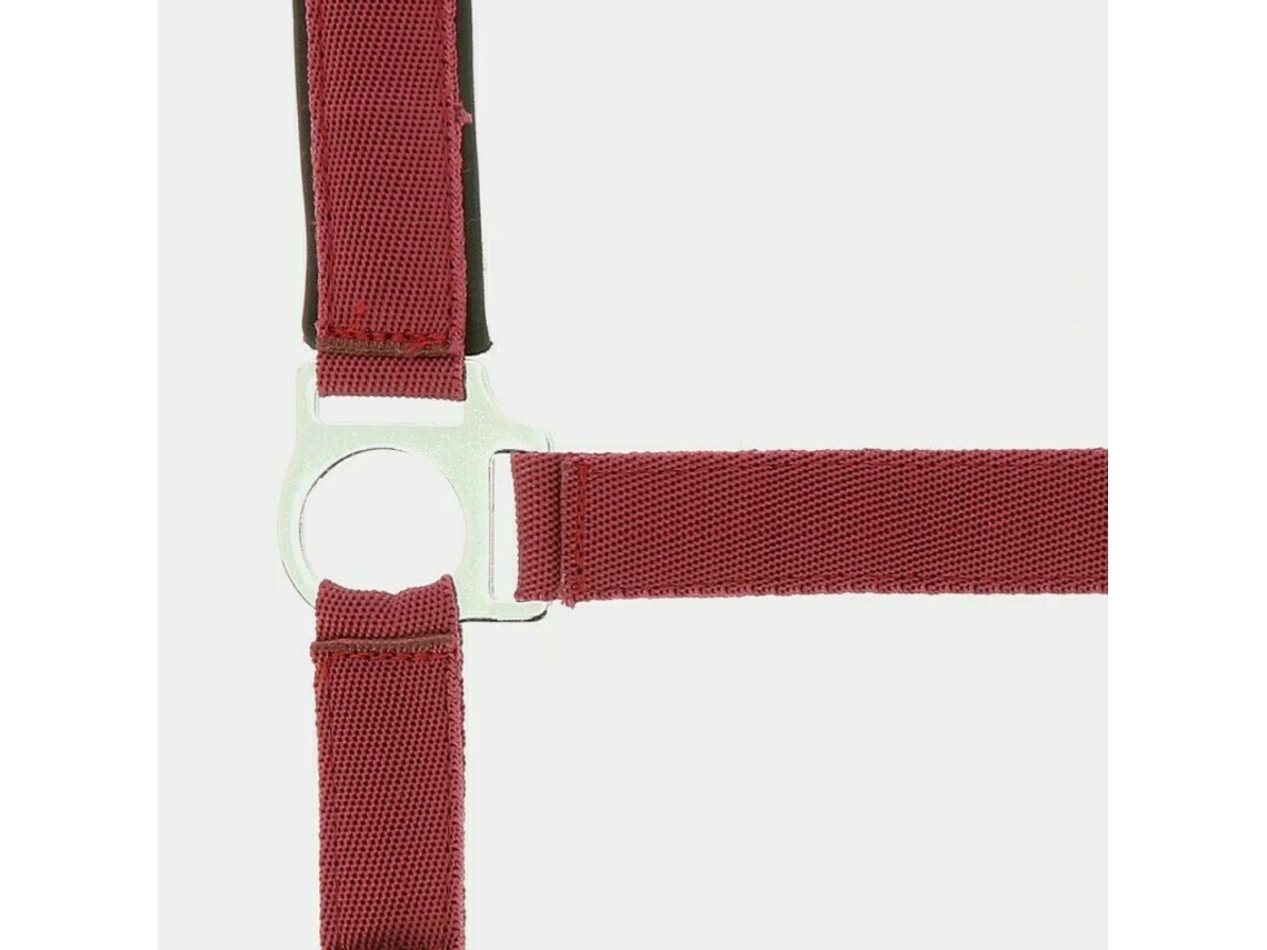 Halter Norton Doublé néoprène